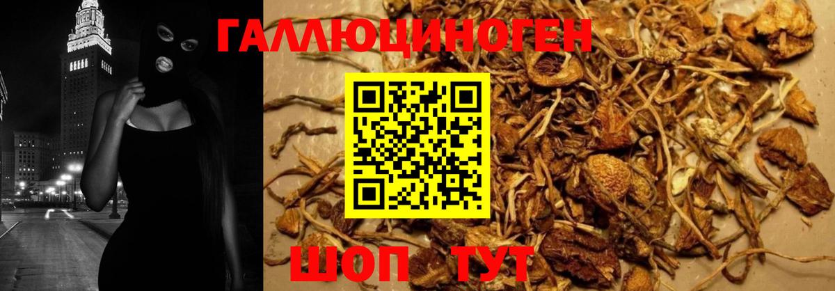 Галлюциногенные грибы MAGIC MUSHROOMS  Псилоцибиновые грибы Psilocybe  закладка  Вход с VPN  Шелехов 